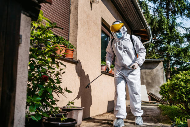Best Rodent Control Near Me  in Morrisonville, NY