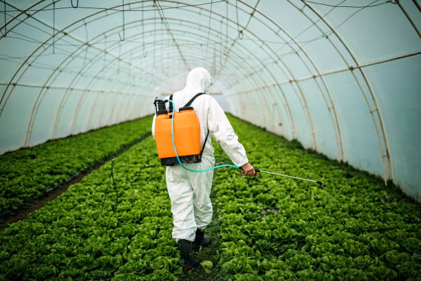Best Pest Control Near Me  in Morrisonville, NY
