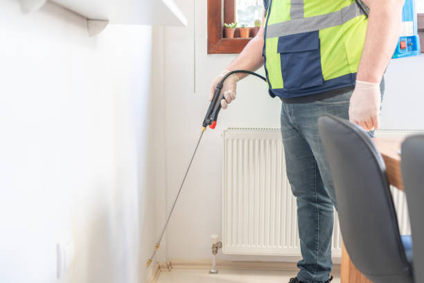 Trusted Morrisonville, NY Pest Control Experts
