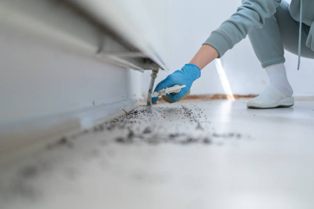 Best Commercial Pest Control Services  in Morrisonville, NY